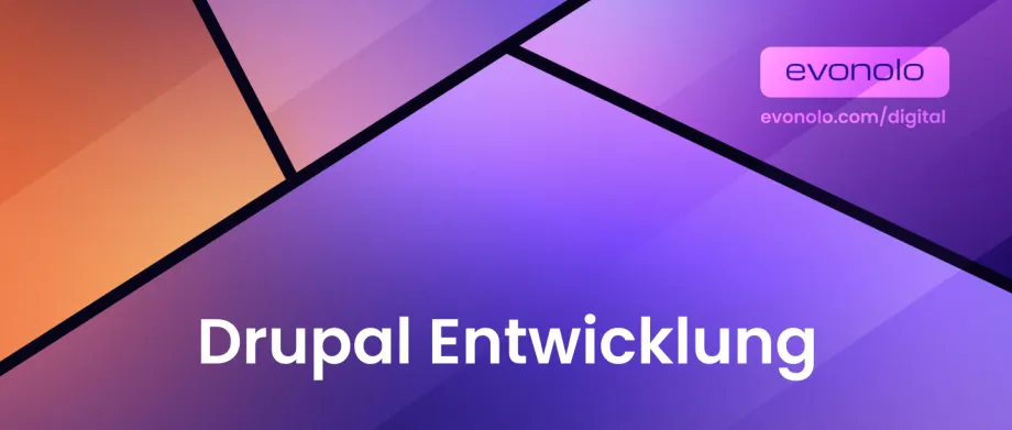 Drupal Entwicklung
